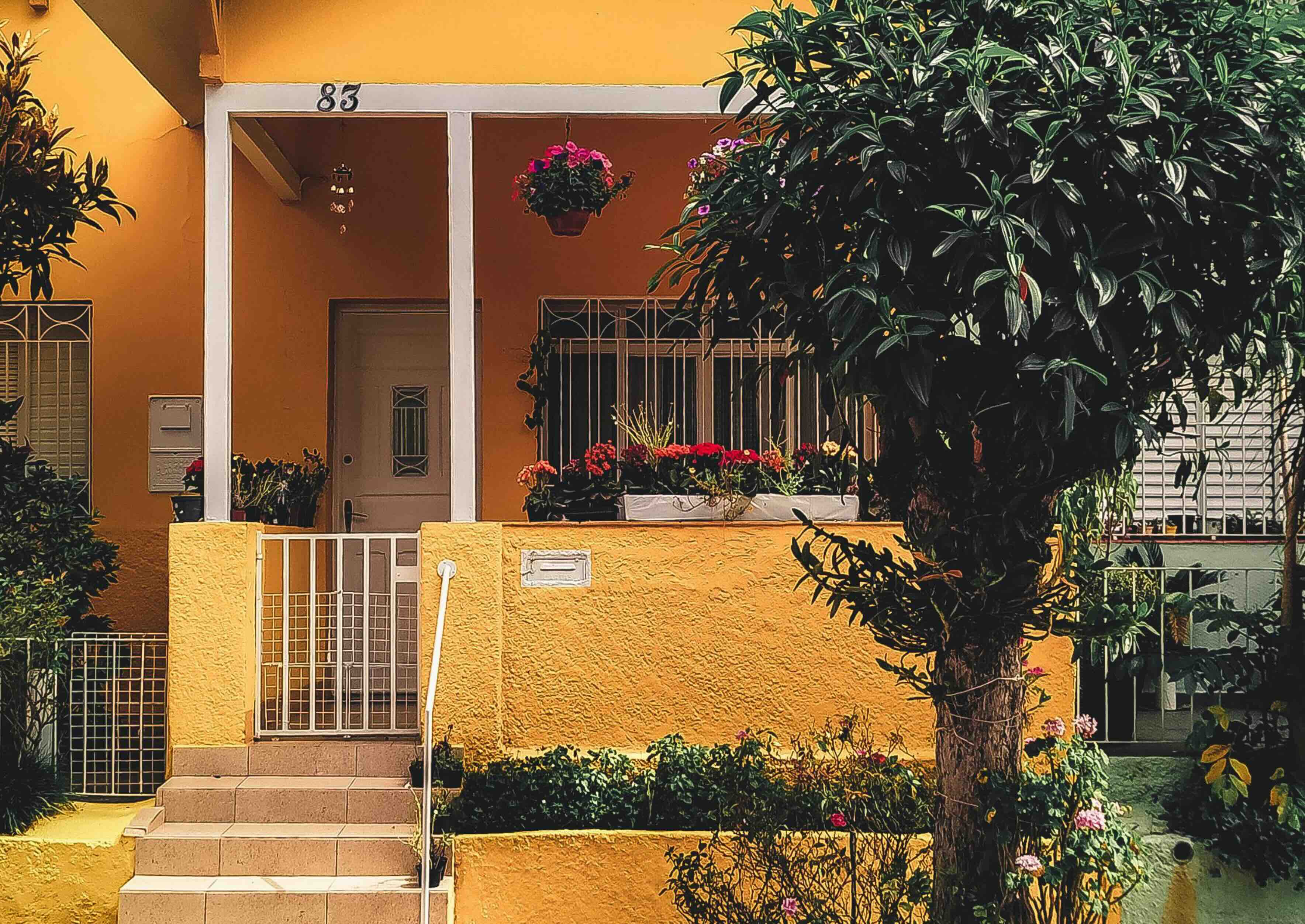 Woman using a laptop while sitting on the couch.